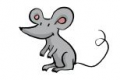 Maus - Mäuse