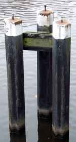 20260304 Dalbe 02 KMJ.jpg