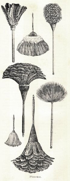 Datei:20260226 Plumeau.jpg