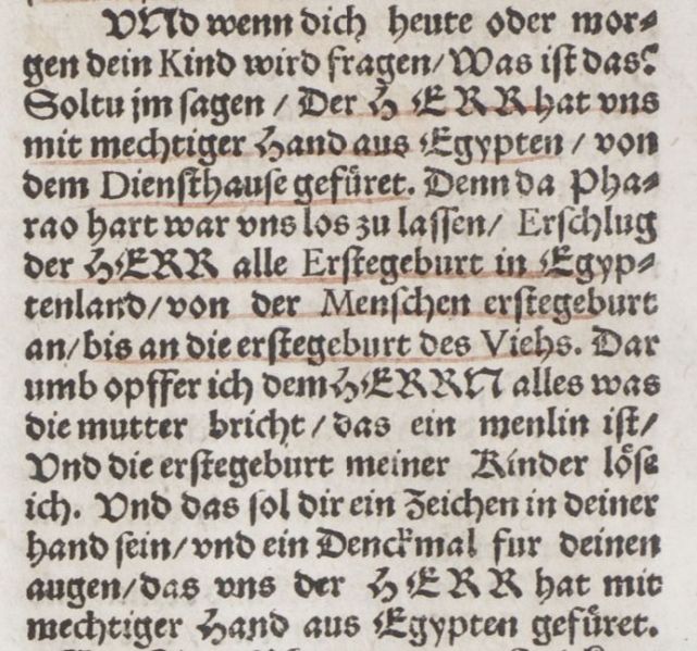 Datei:Bi-W-D Denkmal LBibel 2Mose-13-16.jpg