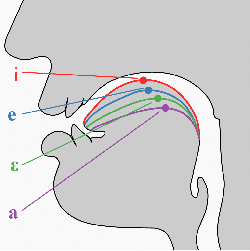 B-W Zungenpositionen Vokale.gif
