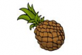 B-AnlB-Ananas.png