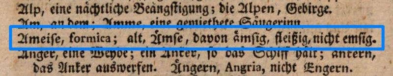 Datei:Bi-W-E emsig Ameise 03.jpg